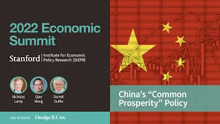 China's "Common Prosperity" Policy Panel