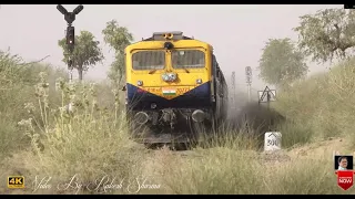 How  a Loco Pilot Saved a cow s Life  against Fast speedy Train  12496  Pratap  Express