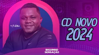 BIGUINHO SENSAÇÃO 2024 ATUALIZADO, MEU XODO BIGUINHO SENSAÇÃO,  BIGUINHO SENSAÇÃO FICA COMIGO