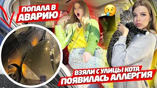 ПОПАЛА в АВАРИЮ ! ВЗЯЛИ с УЛИЦЫ КОТА , ПОЯВИЛАСЬ АЛЛЕРГИЯ !