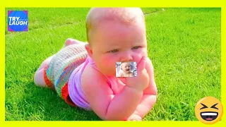 Top Cutest Chubby Babies Make Your Day  || funny baby videos