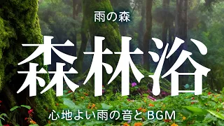 【快眠BGM】深い睡眠のための癒しの雨音 - 脳が眠りモードに切り替わる環境音 ☔🌲 日常のリラックスと快眠サポート🌲！90分間の心地よい雨の森の音 Relaxing Rainforest BGM