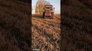 Кировец. К744. #tractor #kirovets #кировец #рекомендации #к744