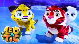 LEO and TIG 🦁 🐯 Very Very White 💨 NEW EPISODE 💚 Moolt Kids Toons Happy Bear