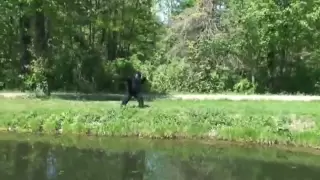 GOOSE HUNTING BIGFOOT CAUGHT ON TAPE