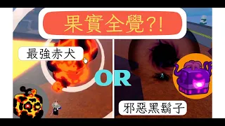 Blox Fruit成功把所有果實覺醒？！覺醒後的果實居然強到炸裂？