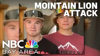 Family of boys attacked by mountain lion speak out