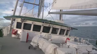 Snippets from the Rainbow Warrior: Dolphins at Gibraltar