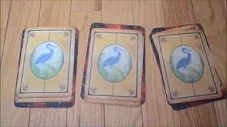 What's Coming Your Way Spring 2019? - Pick a Card Reading