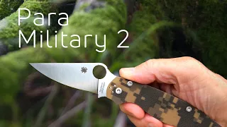 Копия ножа Spyderco Para-Military 2 ‒ обзор посылки с Aliexpress