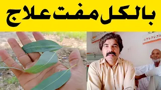 پھوڑے پھنسیاں داغ دھبے دانے اور جسم کی خارش کا آسان مفت علاج || Body pimples and itching treatment