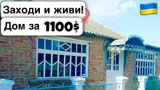 🇺🇦 Заходи и живи! Дом в селе за 1100$ Продажа недвижимости за копейки! Всё есть Уютное тихое село!