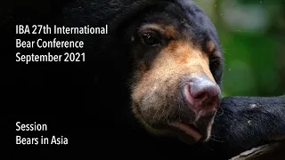 IBA 27th International Bear Conference - Bears in Asia (live session)