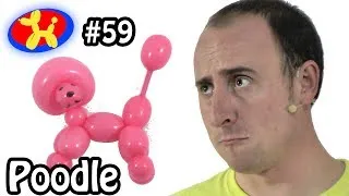 Poodle - Balloon Animal Lessons #59