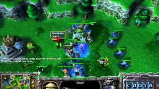 Lordo (Orc) vs Nicker (NE) - G1 - WarCraft 3 - WC339