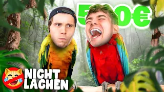 NICHT LACHEN sonst PAPAGEI! mit Paluten