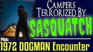 Couple And Their Dog Are Terrorized By Sasquatch For 2 Nights! Plus: A 1972 Dogman Encounter!