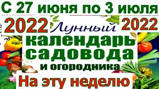 Лунный посевной календарь садовода и огородника с 27 июня по 3 июля. Календарь садовода.