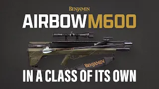 Benjamin Airbow M600 | In a Class of its Own