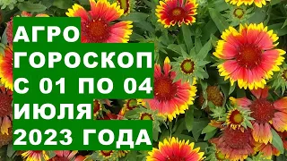 Агрогороскоп з 01 до 04 липня 2023 року. Агрогороскоп з 01 по 04 липня 2023 року