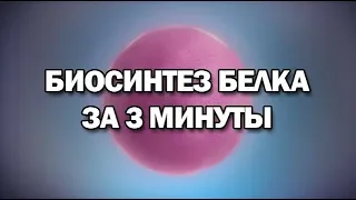 Биосинтез белка за 3 минуты (даже меньше)