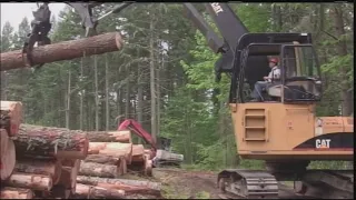Oregon timber, environmental industries vow to work together