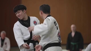 Hapkido, France Seminar 2019 with Grand Master Ju Ung Seo