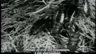 The Corporation 2003 (Greek Subtitles) 9 of 15