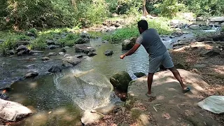 Wow!! Best cast net fishing 🐟 in Sri Lanka 🇱🇰