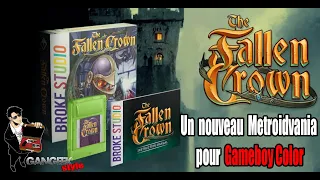 The Fallen Crown : un nouveau Metroidvania pour Gameboy Color !
