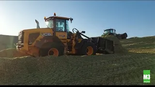 Démonstration agro-chargeuse JCB 435S | M3