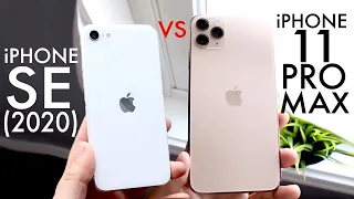 iPhone SE (2020) Vs iPhone 11 Pro Max! (Comparison) (Review)