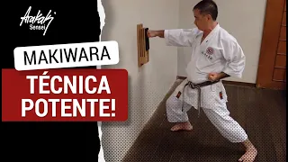 MAKIWARA: Técnica potente de treinar  | Helio Arakaki Sensei