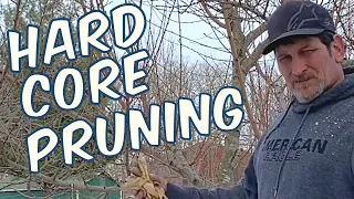 Pruning the Orchard / Pruning Our Fruit Trees / Apple Trees and Peach Trees