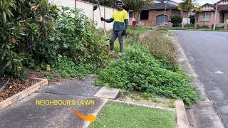 Part 1: Neighbour Said I Was MAD For Mowing This Yard