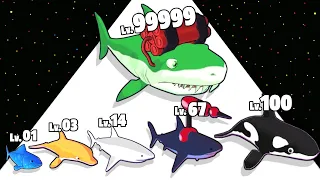 Merge Shark - Level Up Fish Max Level Gameplay (Fish Rush)