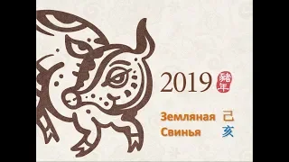 Как подготовиться к году Земляной Свиньи  2019