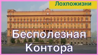 Бесполезная контора