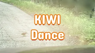 KIWIDANCE - Max Weiss - donmax