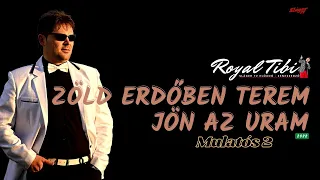 ROYAL TIBI ★★★ - ZÖLDERDŐBEN TEREM, JÖN AZ URAM - MULATÓS 2 (Official MUSIC)