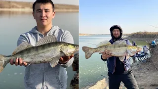 Рыбалка канал коксарай| рыбалка на судака| рыбалка на джиг | рыбалка Казахстан