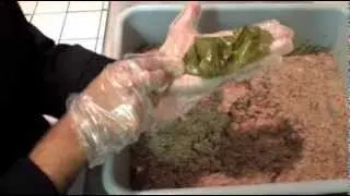 Hot Dish: How to make grape leaves the real Greek way