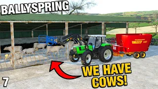 YARD IMPROVEMENTS AND BUYING JERSEY COWS BallySpring FS22 Ep 7