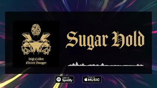 The Naked High - Sugar Hold (Feat. Derek Sherinian) Lyrics Video