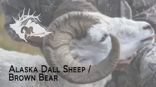 S10 E21 - Alaska Dall Sheep/Brown Bear