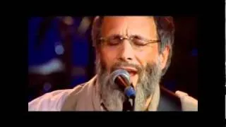 Yusuf Islam - Don't Be Shy