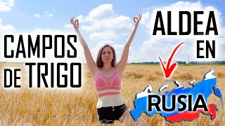 La cosecha del TRIGO en Rusia! Campos rusos. Mi vida en una aldea rusa!