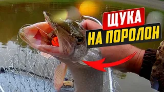 Щука на поролон. Как ловить щуку.