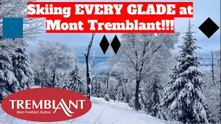 Skiing EVERY GLADE at MONT TREMBLANT - January 2024