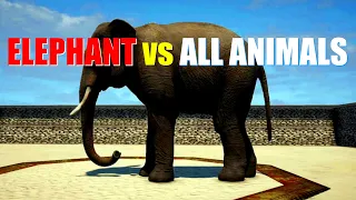 Far Cry 4 Animal Fight - Elephant Ride vs All Animals Battles (Elephant vs Crocodile, Rhino, Tiger+)